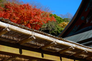 贵州旅游去哪玩(贵阳、黄果树、遵义、安顺、凯里等热门景点推荐)