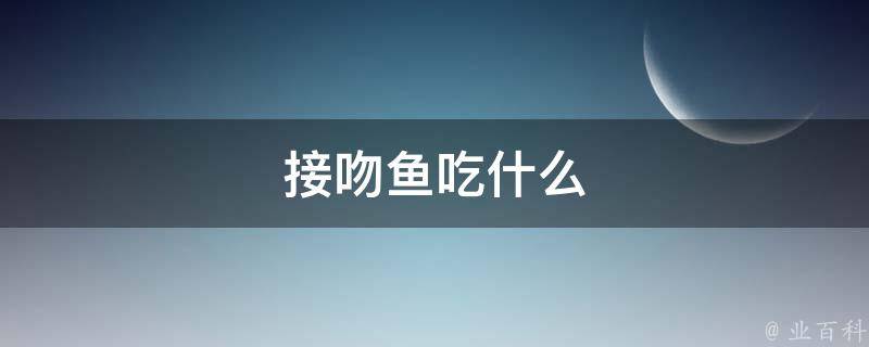 接吻鱼吃什么(适合接吻鱼的饲料推荐)