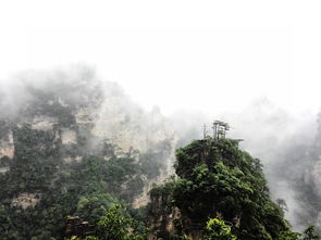 去张家界五日游攻略(玩转张家界必备攻略，带你领略神奇风景)