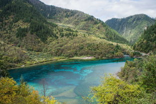 黄山旅游点(黄山风景区、黄山西海大峡谷、黄山云谷景区等)