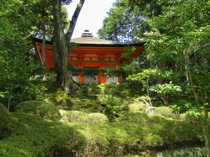  附近一日游旅游景点？