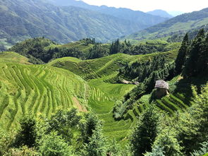 桂林漓江景区旅游(最全攻略，让你畅游桂林漓江的绝佳选择)