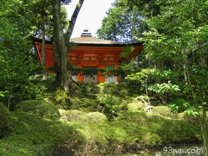 四川崇明岛一日游攻略(景点介绍、交通指南、美食推荐)