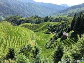 桂林漓江景区旅游(最全攻略，让你畅游桂林漓江的绝佳选择)