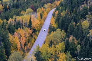 韶山旅游路线攻略(游览***故居的最佳路线推荐)