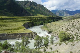 泰山海拔(中国五岳之首的泰山海拔是多少)