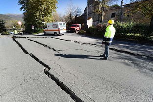  汶川地震的震级是多少？