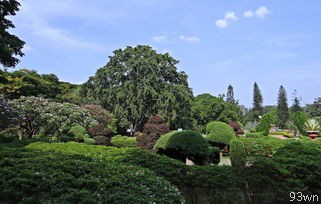 缙云县属于哪个市