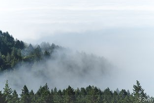 江浙沪旅游(最佳旅游路线推荐)