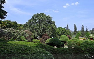 九寨沟属于哪个市？