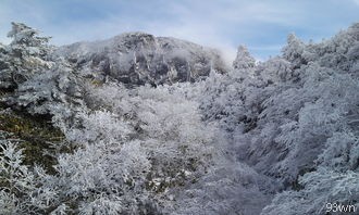 太白山旅游的交通方式是什么？