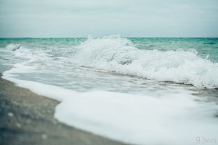  济宁旅游团景点和景点介绍？