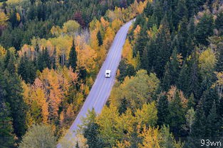  黑龙江旅游线路？