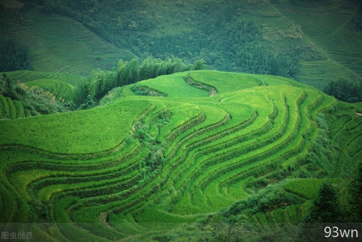 桂林十大必玩景点