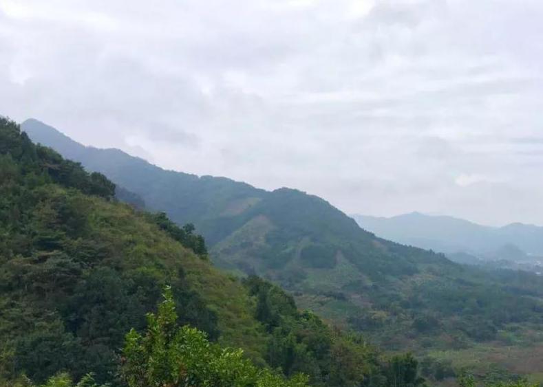 花都到白云山，这里是美如画的花海，被誉为广州的“香格里拉”