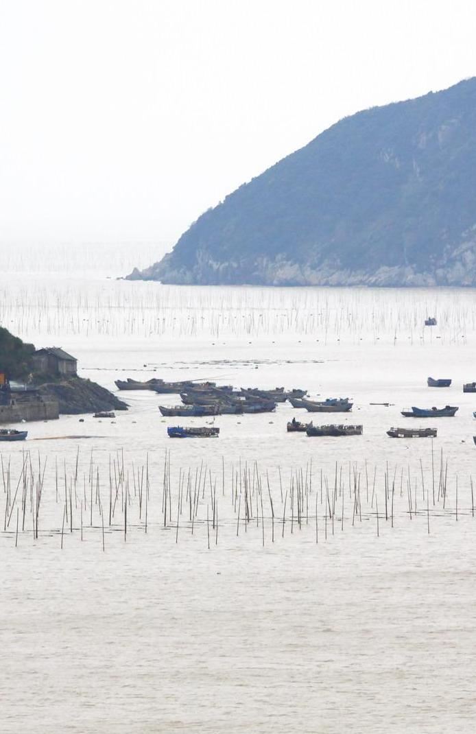 厦门到上海，走中国最美的滨海高速，7天往返上海厦门亲测方案（收藏版）