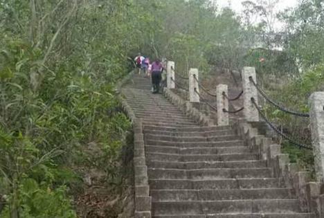 茂业百货南山店，旅游景点—深圳南山区看看你心中最爱那个公园你绝对还没去过