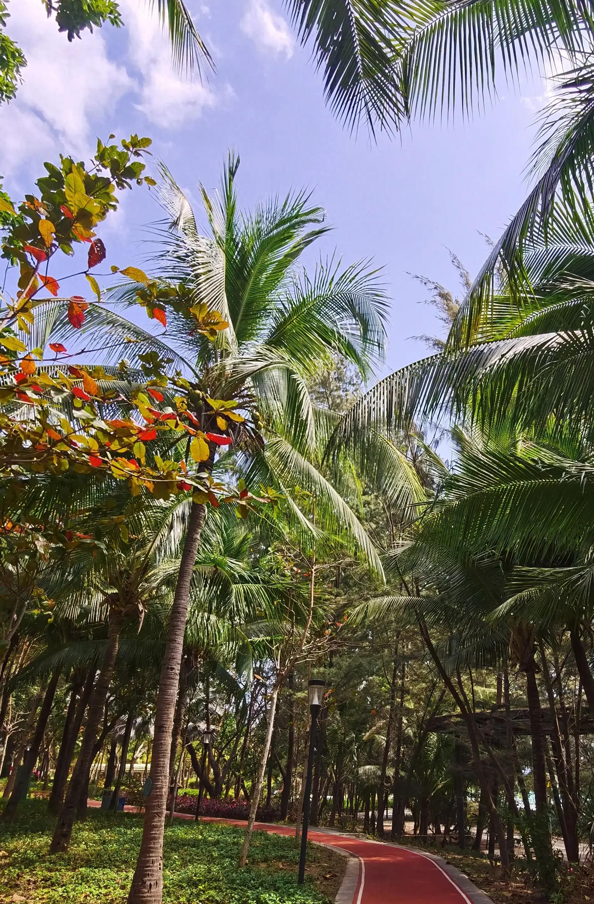 春节旅游便宜的地方，我的春节出游花费（一）