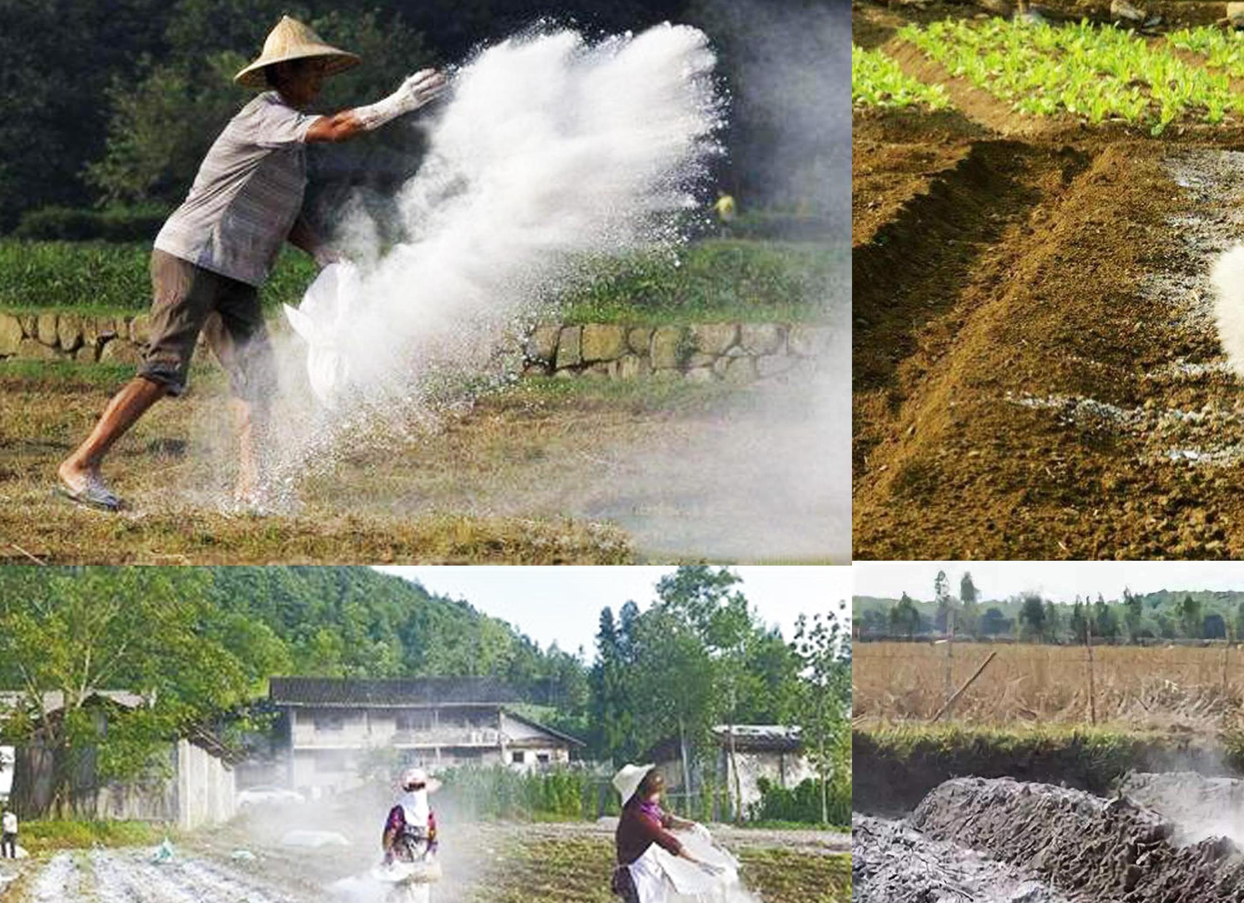 农村建房子常用的生石灰，在农业种植生产中大有帮助