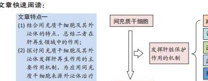 间充质干细胞及其外泌体：疾病诊疗的新希望