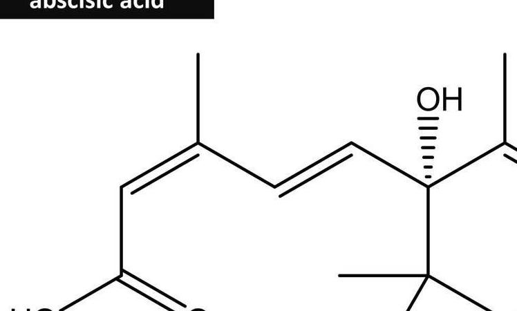 脱落酸的作用及应用：抑制生长与增加抗逆性的双重功效