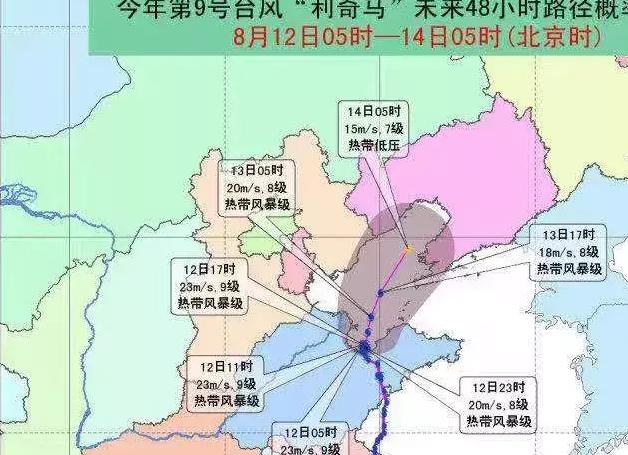 农村井水放明矾后多久能用，抗击“利奇马”，这些防病知识要知道