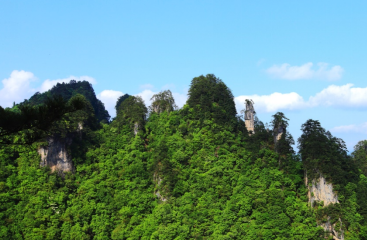 光雾山风景区最佳时间，美得让人心醉，还有着深厚的历史底蕴